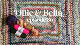 Episode 36 | All the Socks and New Yarn  