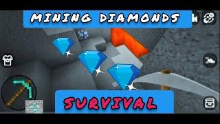 Survival Mining Diamonds Mini block craft