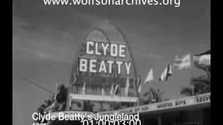 "Miss Tall America" Beauties Visit Clyde Beatty's Jungleland