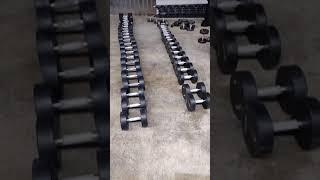 Pro Dumbbells vs Rubber Hex?