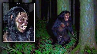 Top 10 CREEPIEST Sasquatch/bigfoot Videos EVER 2025 #bigfoot