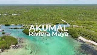 A Glimpse of Paradise: Akumal, Riviera Maya