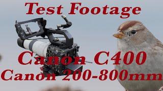 Canon C400 Sample Files #canonc400 #wildlifefilmmaking #wildlifefilmmaker