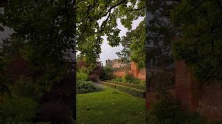 Hidden gem in Chichester since 1147 #garden #chichester #uk #peace #shorts