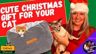  CatCrazy: Last-Minute Christmas gift for your cat