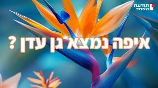 איפה נמצא גן עדן?- יעקוב עדיה אנושי תודעת האחד