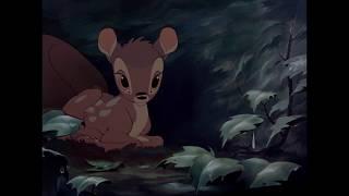 Bambi | Liedje: Drip Drop | Disney NL