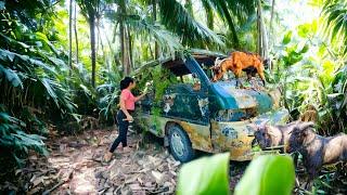 I stumbled upon a mysterious abandoned 16 seater bus in the woods! Towed it back and restored it