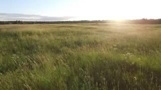 Low Flight Over The Meadow 1 - cutestockfootage.com