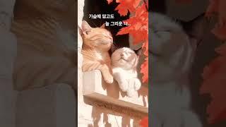 보고싶은 너에게... #이별 #고백운 #음악 #사주 #감성 #운명이야기 #연애 #노래 #사주명리학강의 #구성학강의