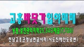 19-104[전남권부동산임야고흥영남금사리전원주택지개발용임야(7,726py)매매~