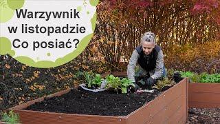 Warzywnik w listopadzie. Co można posadzić w warzywniku?