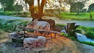 Traditional Water Irrigation System of Blade Wheel