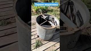 Первая медогонка!