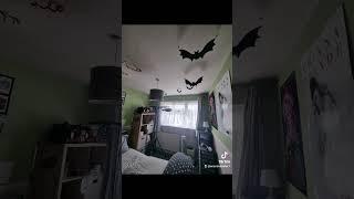 Halloween Decorations 2023