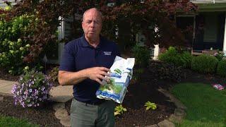 Ready, Set, Grow with Pat Sullivan | Fall Planting and Home Security