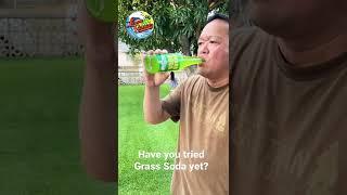 Grass Soda Taste Test 