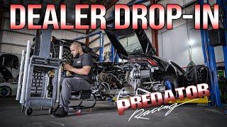 DEALER DROP-IN | Predator Performance