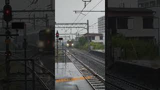 高崎線の駅を通過していく特急列車がまさかの…？#shorts