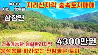 [건축가능한숲속토지매매]지리산자락삼장면건축가능한계획관리지역소형토지매물입니다#숲속토지매매#산청군토지매매#삼장면땅#싼땅#싼토지매매#삱덩부동산#행복한부동산 #홍계리싼땅