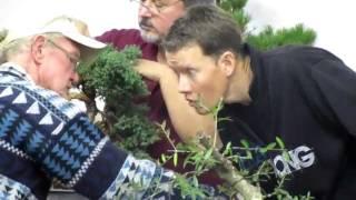 Advanced bonsai workshop at Oyama Bonsai Kai birthday bash