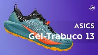 Кроссовки ASICS Gel Trabuco 13