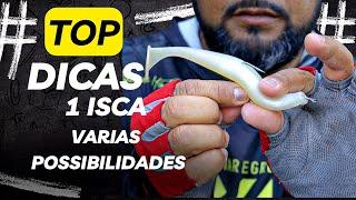 TOP DICAS - VÁRIAS POSSIBILIDADES DE PESCARIA COM 1 ISCA.