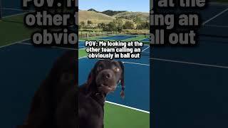 But... but... #pickleball #pickleballlife #pickleballmeme