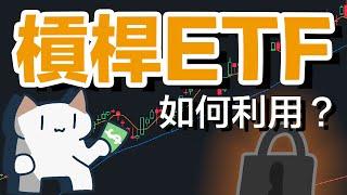 想在美股中获得翻倍收益？杠杆ETF的秘密你必须知道｜喵喵财经的美股策略
