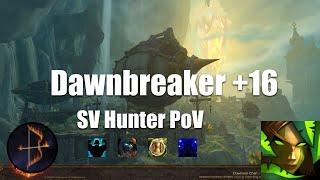 +16 Dawnbreaker Survival Hunter PoV