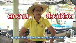 หลักสูตรอบรม เกษตรสัญจร - เลี้ยงกุ้งฝอย สร้างอาชีพ เพิ่มรายได้ รุ่น 1 