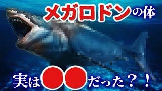 【ゆっくり解説】メガロドンは意外と◯◯だった！？最強生物の本当の姿とは？