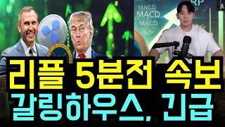 [리플 코인] 갈링하우스 기습발표 XRP & TRUMP 5분전 긴급속보 #리플목표가 #리플호재 #리플전망 #리플코인목표가 #리플코인호재 #리플코인전망