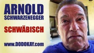 dodokay - Arnold Schwarzenegger im Adler - schwäbisch