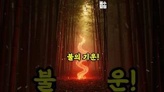 2025년, 감정도 돈도 흔들리시나요? 그런 말띠라면 지금 이걸 보세요!
