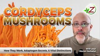 Cordyceps Mushrooms: How They Work, Adaptogen Secrets, & Vital Distinctions for Optimal Health! 