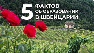 5 фактов об образовании в  Швейцарии. Чем отличается система обучения детей от других стран?