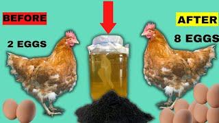 HEN LAYS MORE EGGS After Putting These 2 NATURAL PRODUCTS (Charcoal + Vinegar) in CHICKEN'S FEEDS