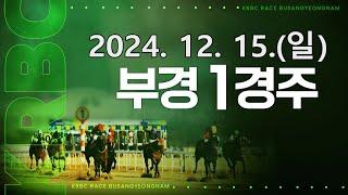 (부산) 2024.12.15 1경주