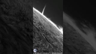 Solar Prominence Close Up! Giant Spicules Captured From My Backyard #astronomy #space #science