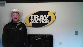 IRAY Auction - Saturday April 27th