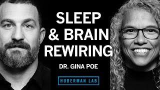 Use Sleep to Enhance Learning, Memory & Emotional State | Dr. Gina Poe