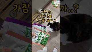 취향이 전부 다른 9마리 고양이 #고양이 #cat #고양이간식