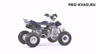 Квадроцикл Irbis ATV250S - прокат и аренда квадроциклов в Москве  клуб PRO-KVAD