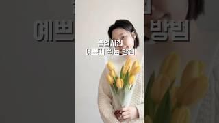 졸업식 사진 예쁘게 찍는 방법#졸업식#꽃다발#diy#handmade