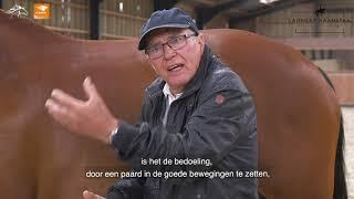 KNHS Tips van de top: Ondertreden van het achterbeen