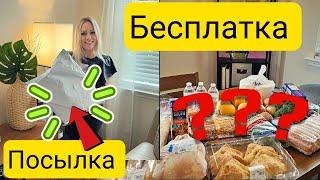 Много БЕСПЛАТНЫХ продуктов/Фудбанк в США/Пришла посылка/Для тех, у кого нет потерянных посылок/Temu