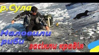 #Сула # Купа риби # Безліч емоцій в останній день зими #РибачуЯкУмію #