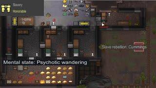 When the RimWorld slave seizes the moment