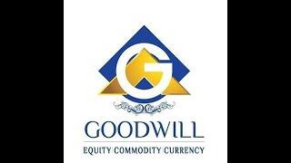 Goodwill wealth management pvt ltd in  hindi